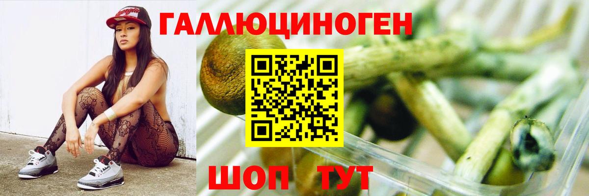 Урус-Мартан  Галлюциногенные грибы MAGIC MUSHROOMS  Вход с VPN  Галлюциногенные грибы мицелий 